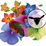 woolflower